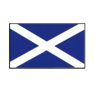 CASTLE PROMOTIONS Outdoor Vinyl Sticker - St. Andrews Flag