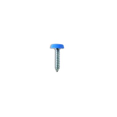 CONNECT Number Plate Screws - Blue Polytop - 4.8mm x 24.0mm - Pack Of 100